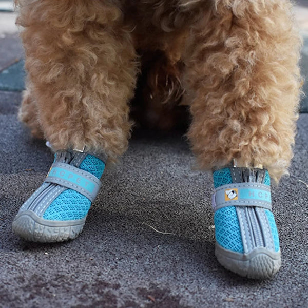 pet booties for walking