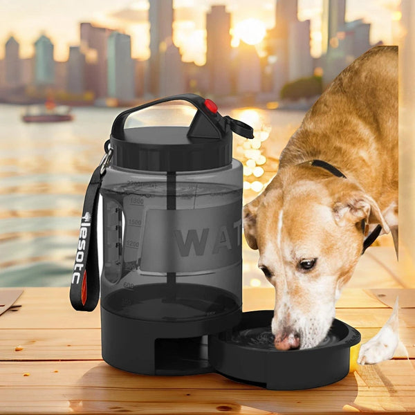 dog travel water bowl