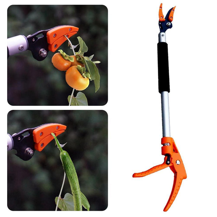 Adjustable Lightweight Garden Pruner - Ideal Tool for Fruit Picking