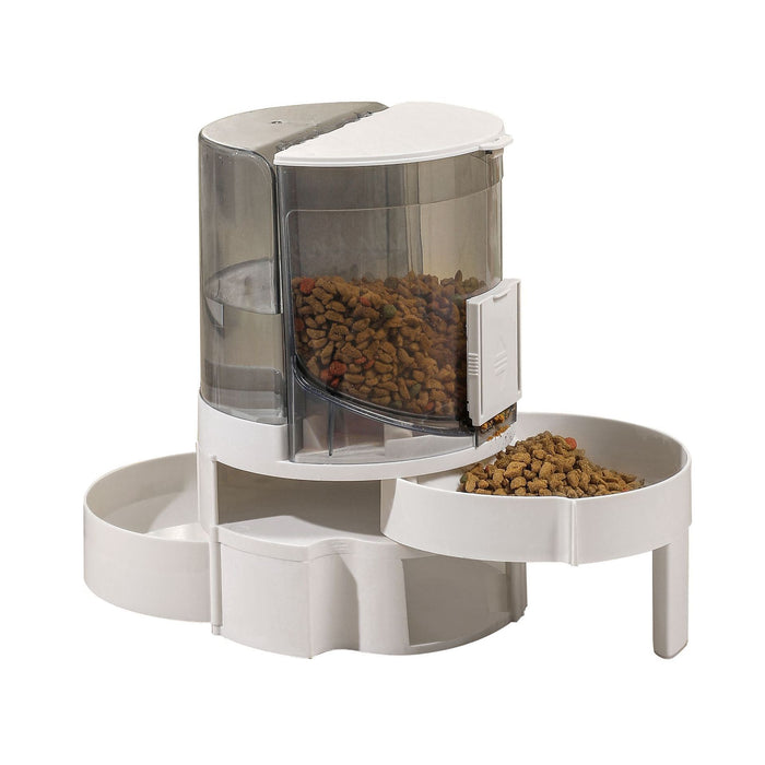 2 In 1 Eco Friendly Large Dog Feeder Waterer