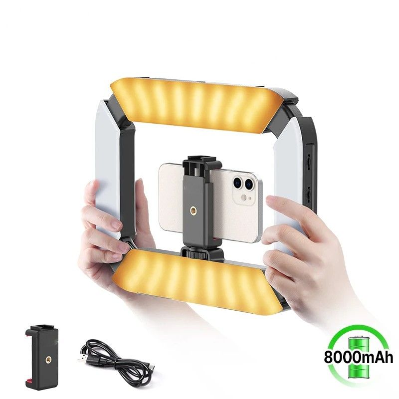 portable video light