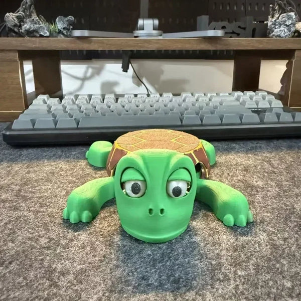 Calming turtle decor