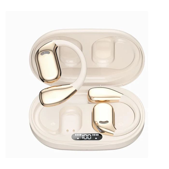 Travel Translator Earbuds

