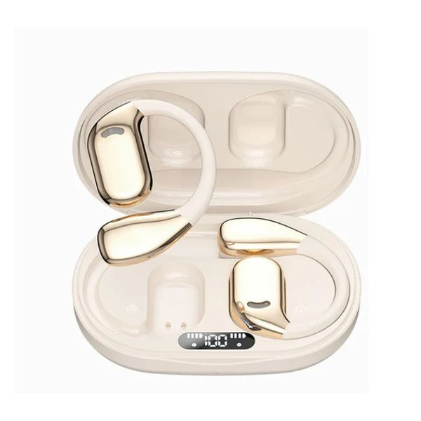 Travel Translator Earbuds

