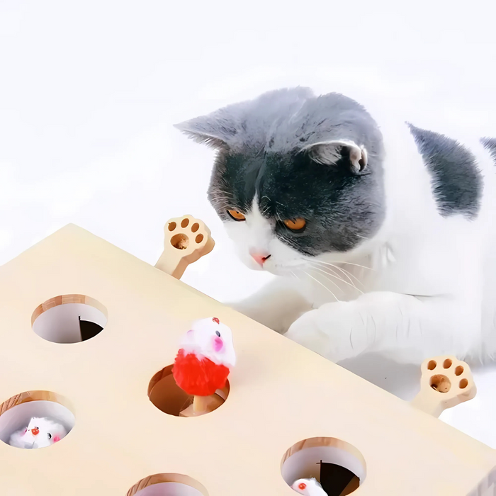 Doll-style cat toy