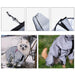 Dog safety raincoat