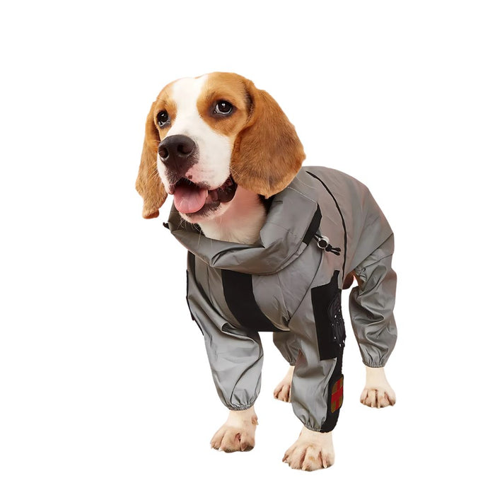 Silver-gray dog raincoat