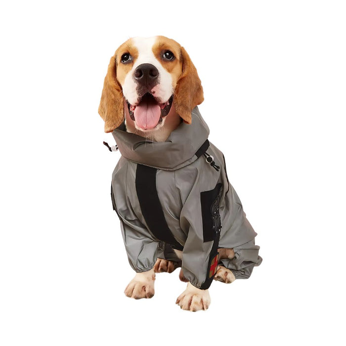 Silver-gray dog raincoat