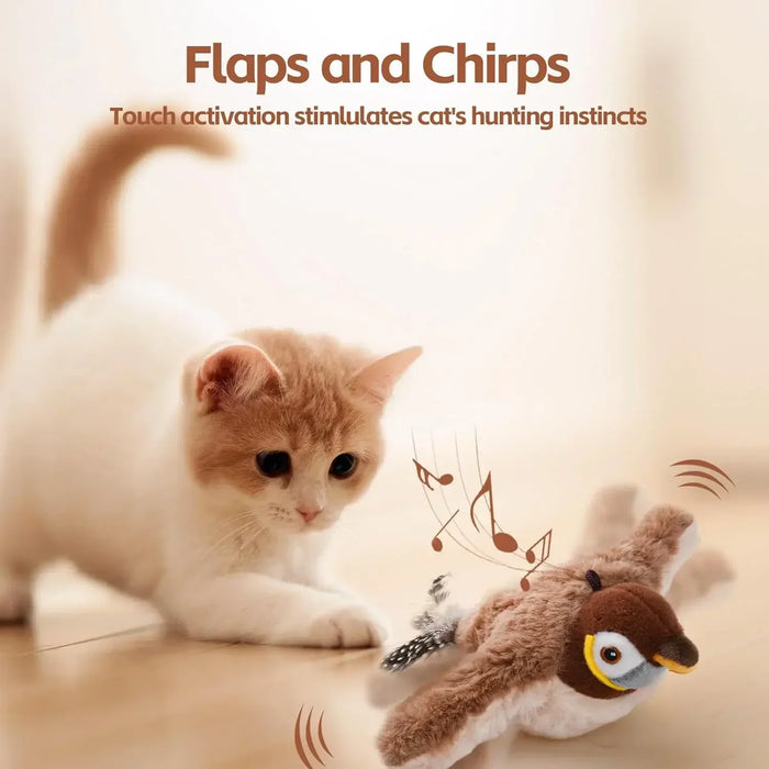 Catnip cat toy