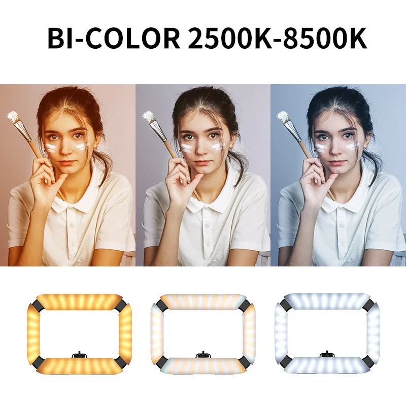 portable video light