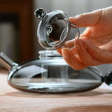Elegant glass teapot with hand holding lid, showcasing modern design and heat-resistant features.