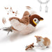 Motion-activated cat toy