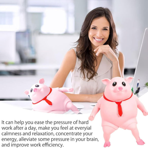 Rebound pig toy